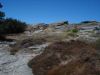 Garrigue rocheuse